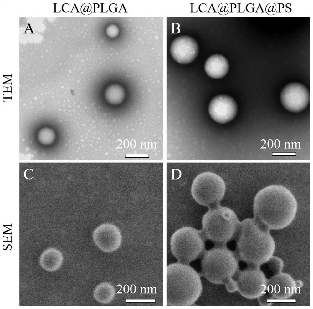 Preparation method of protamine modified PLGA coated icariin nanospheres