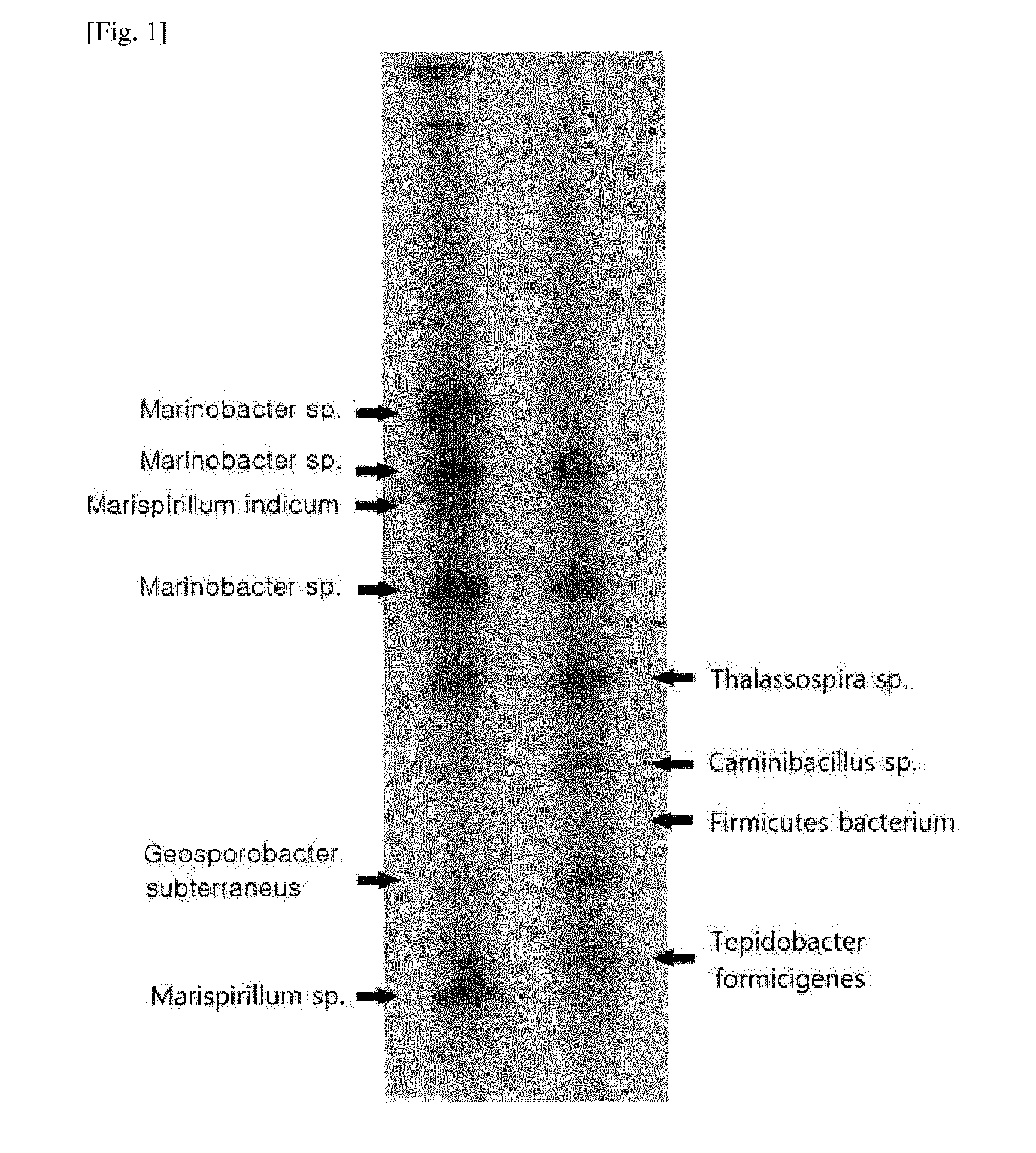 Method for removing nitrate from solution comprising salt component