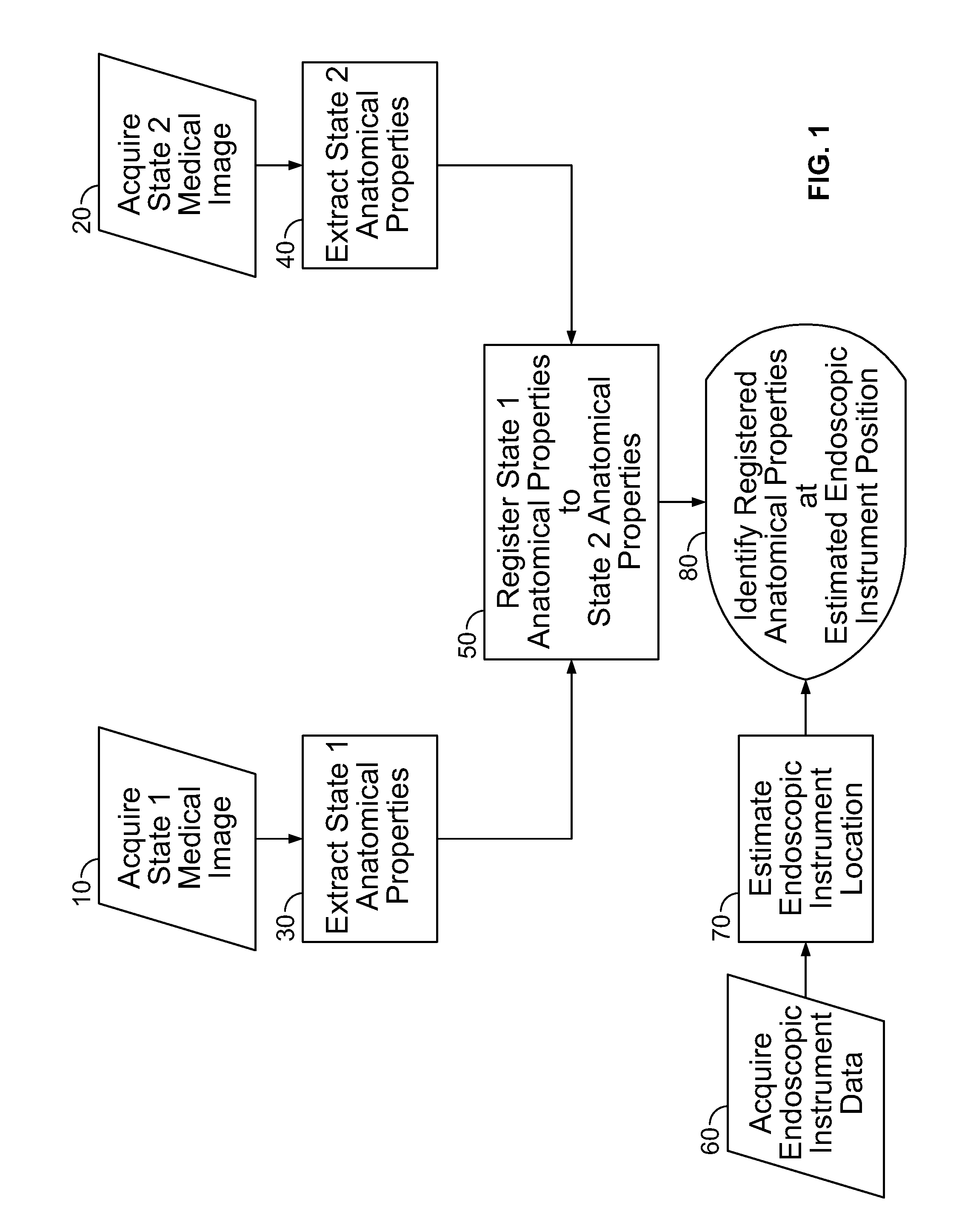 System and method for determining airway diameter using endoscope
