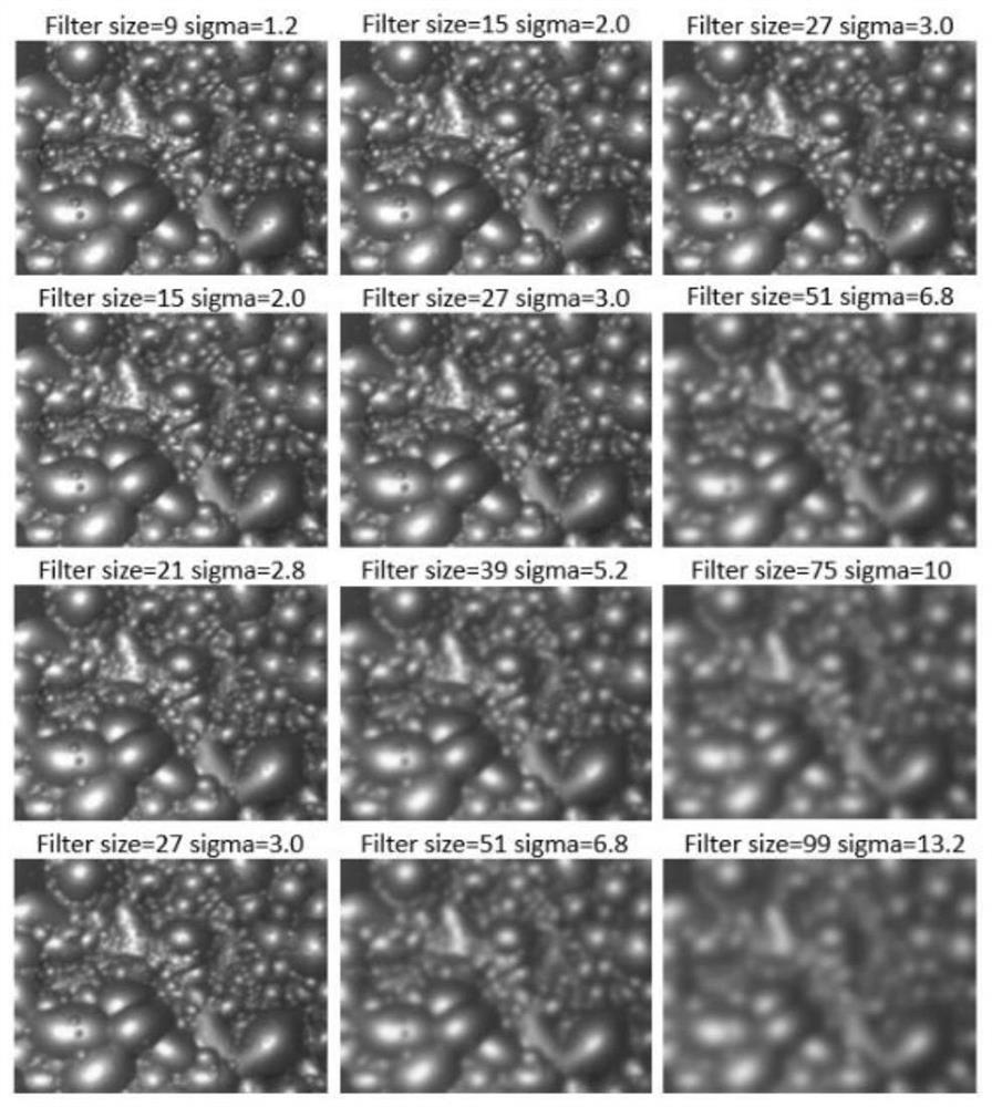 A Method of Extracting Flotation Foam Motion Feature Based on r-k Algorithm