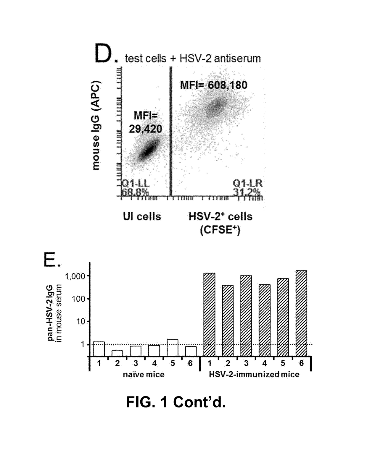 Rapid and sensitive serological assay to determine if patients are infected with herpes simplex virus type 1 HSV-1 and/or type 2 HSV-2