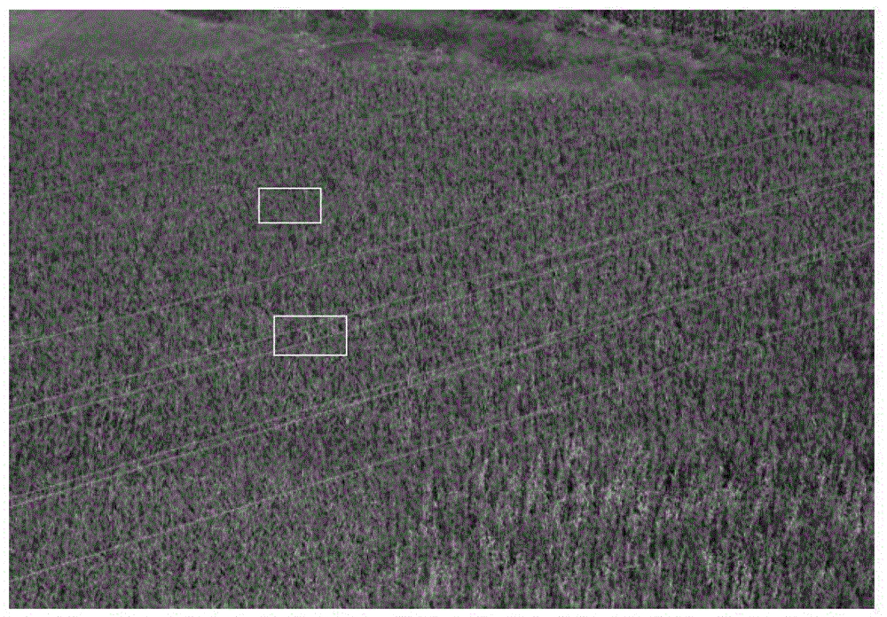 A high-voltage transmission line detection method based on linear targets