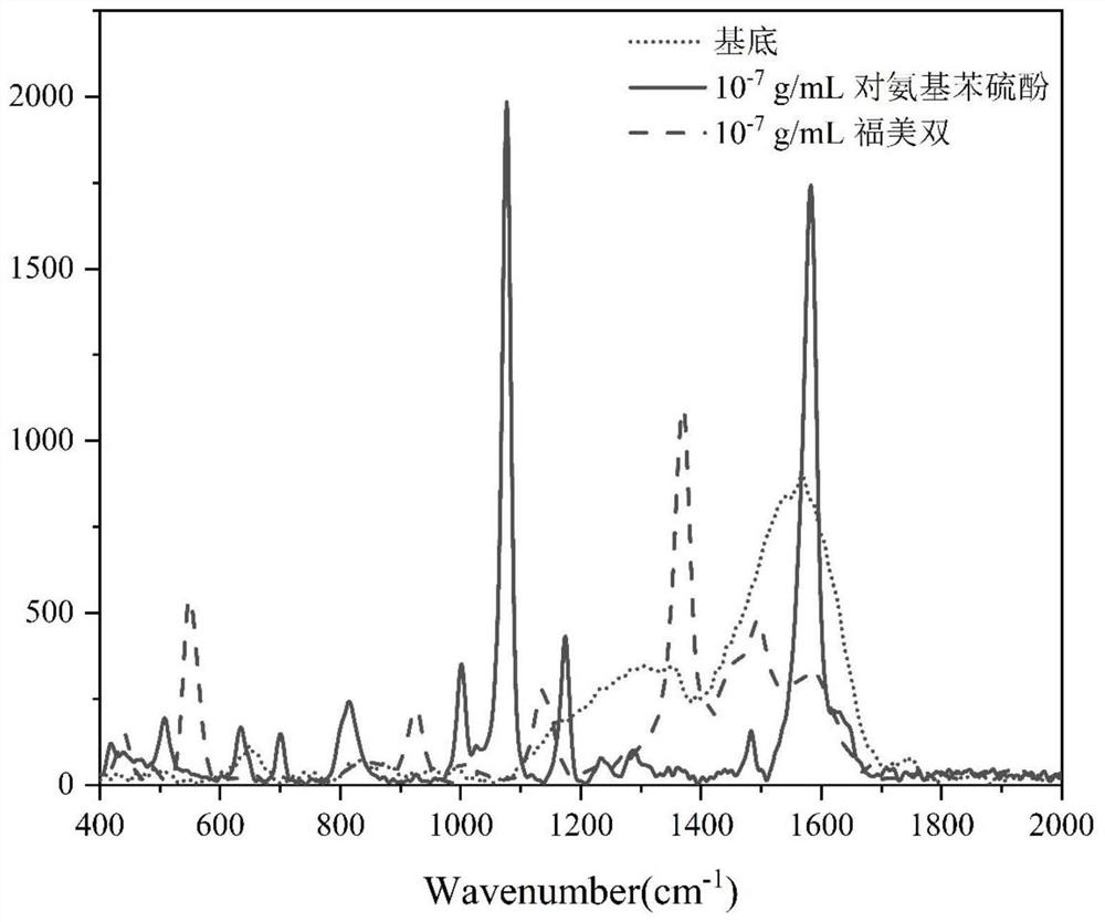 Construction method and application of flexible surface-enhanced Raman substrate