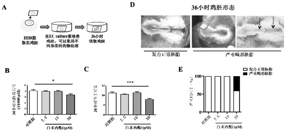 Application of atractylenolide I in preparation of medicine for protecting embryonic development of pregnancy complicated with diabetes mellitus