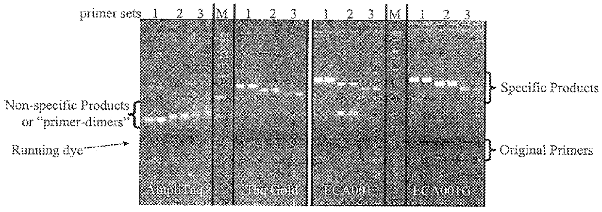 Methods and Compositions for PCR