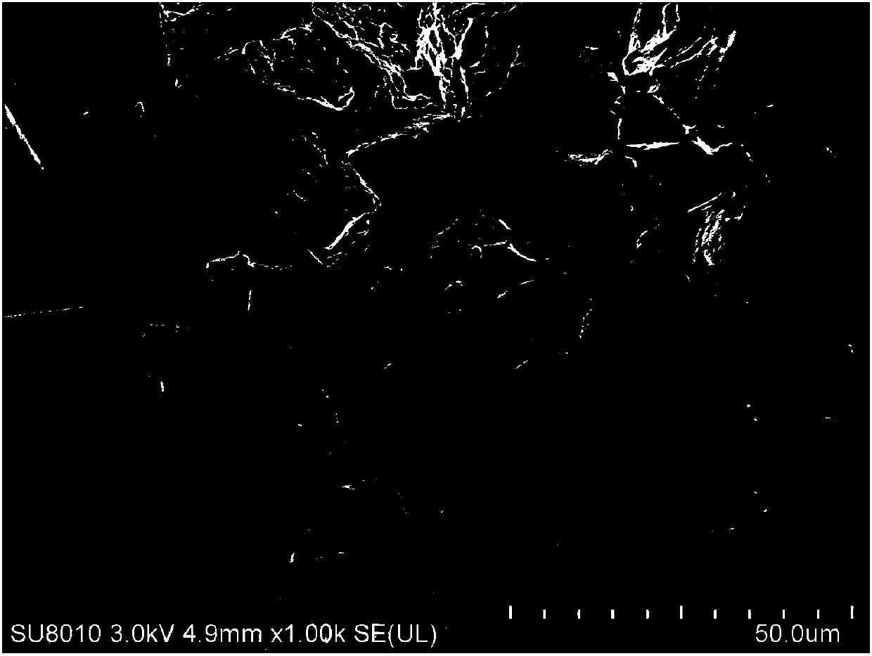 A kind of surface modified castor fiber and its preparation method and application