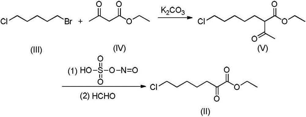 Preparation method of 7-chlorin-(1-oxo ethyl) ethyl oenanthate