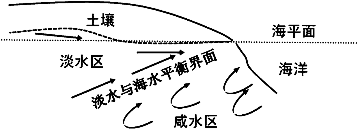 An experimental device and method of use for electrokinetic repair