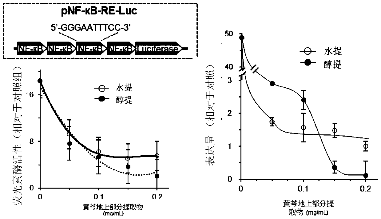 Application of extract of overground part of radix scutellariae in aquaculture