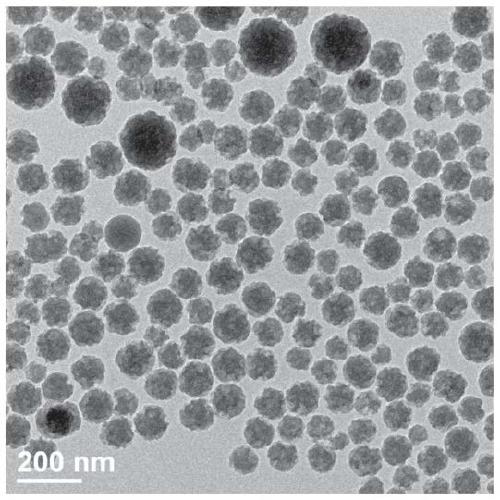 Nano silica microsphere with surface topological structure and preparation method of nano silica microsphere