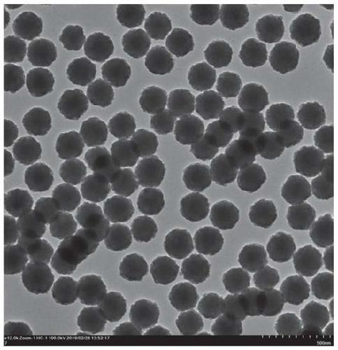 Nano silica microsphere with surface topological structure and preparation method of nano silica microsphere