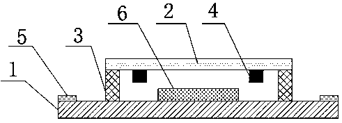 Thin chip vacuum packaging structure