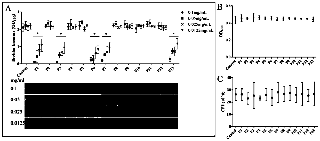 Amyloid hexapeptide and application thereof in broad-spectrum inhibition of bacterial and fungal biofilms