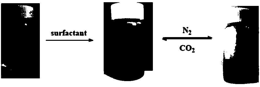 A switch-type carbon nanotube dispersant