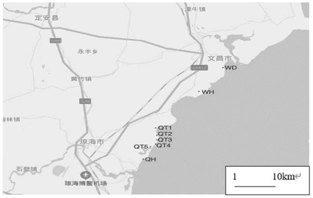 SSR primers of endangered Heritiera littoralis Hernandia nymphaeifolia and application thereof