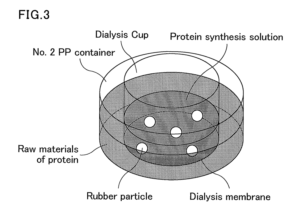 Production method for polyisoprenoid, vector, transgenic plant, production method for pneumatic tire, and production method for rubber product