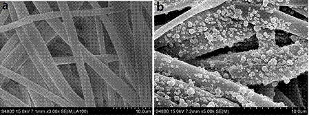 A kind of preparation method and application of emulsion polymerized salicylic acid molecularly imprinted membrane