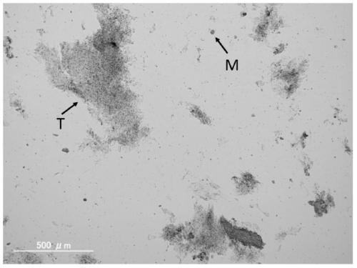 A method for separating and purifying plant tapetum tissue