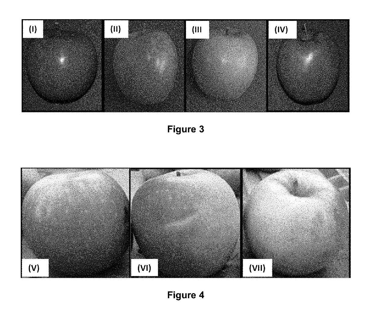 Two-color net for protecting fruit against damage caused by direct solar radiation and high temperatures