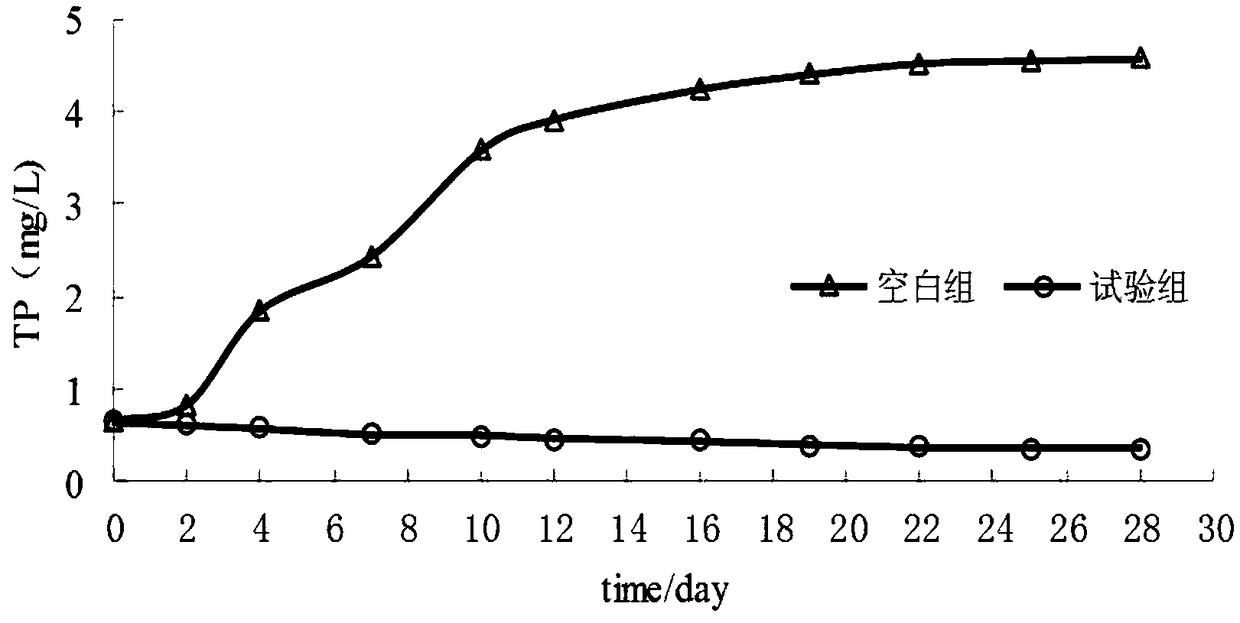 Preparation of oxygen-releasing composite material for control of black and odorous riverway and application