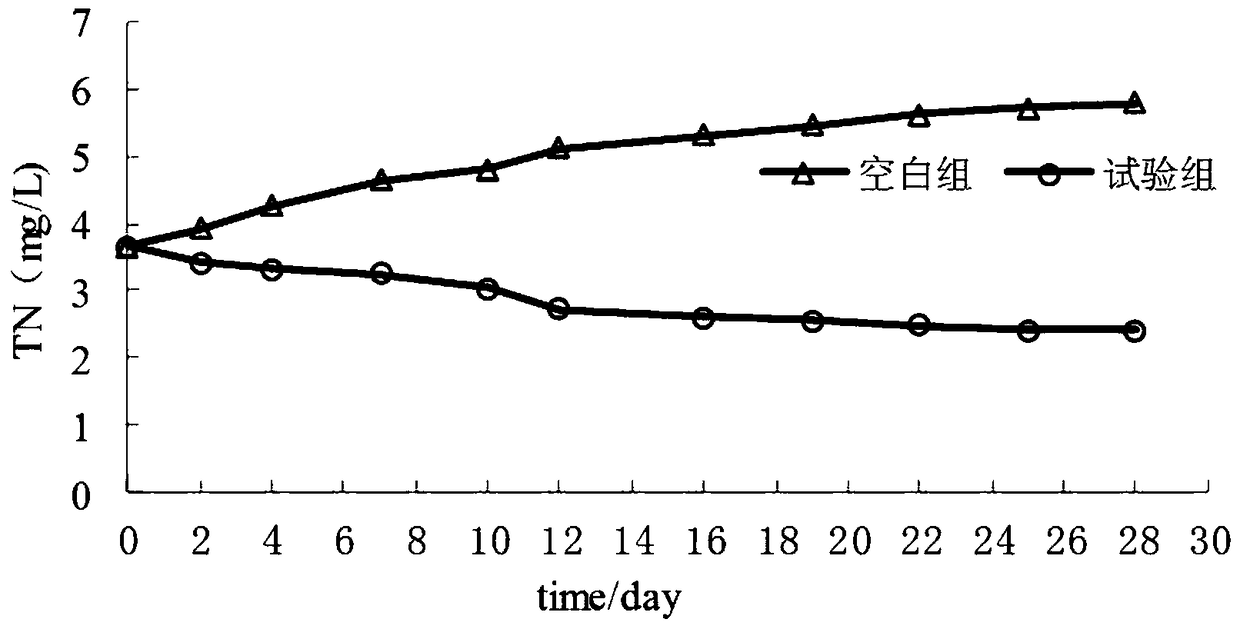 Preparation of oxygen-releasing composite material for control of black and odorous riverway and application