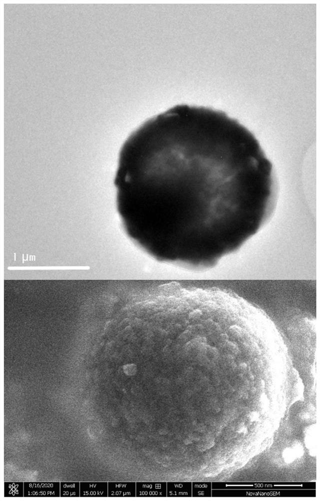 Antibacterial and anti-ultraviolet color temperature regulating coating containing iron oxide/silicon dioxide coated paraffin phase-change microcapsules and preparation method thereof