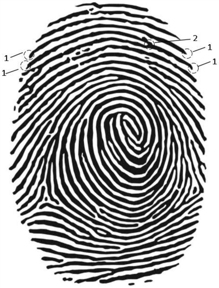 Fingerprint identification method and device, terminal and storage medium