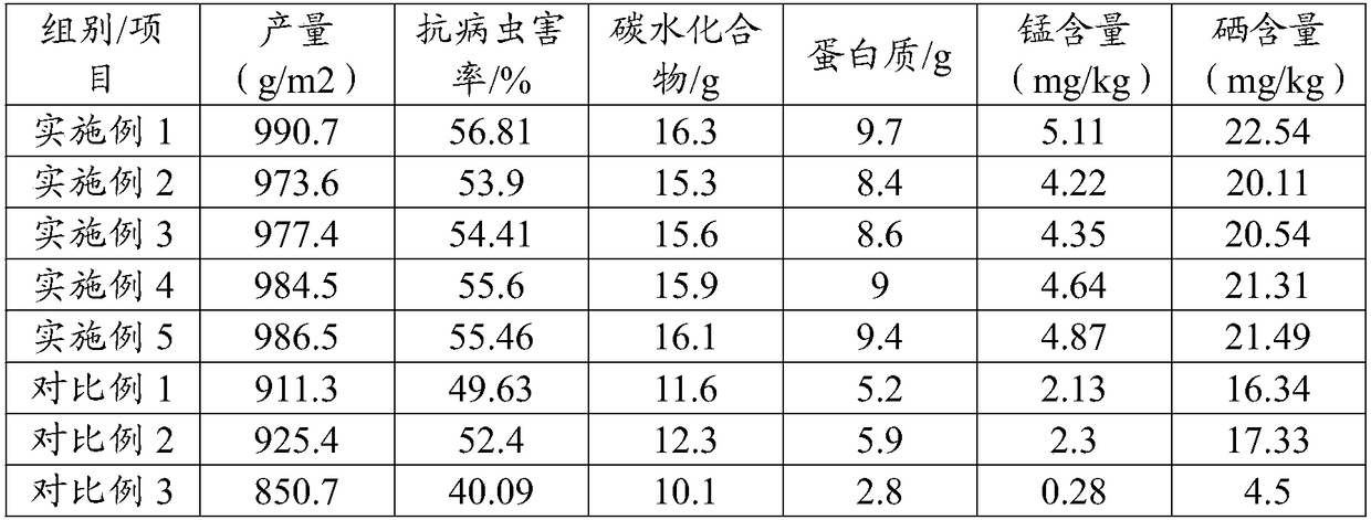 Planting method for Cichorium endivia rich in plurality of trace elements