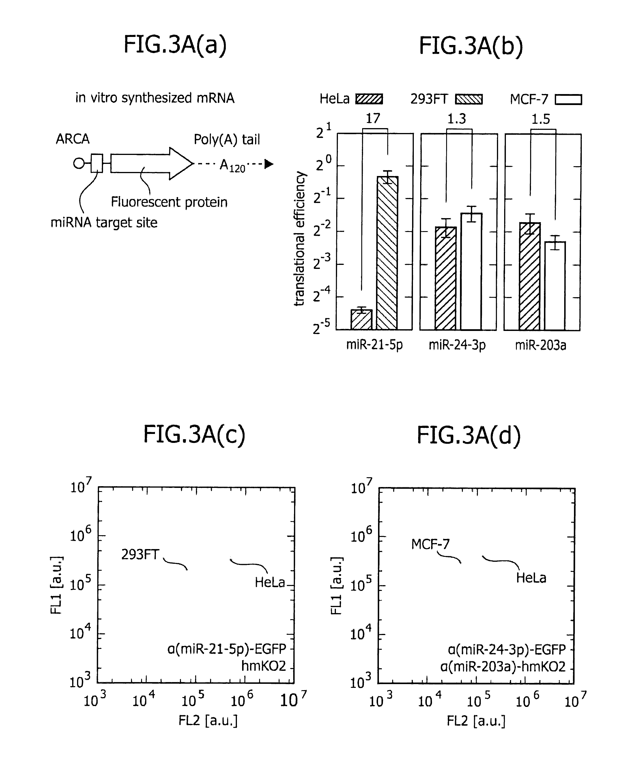 METHOD FOR DETERMINING DESIRED CELL TYPE USING EXPRESSION OF miRNA AS INDICATOR