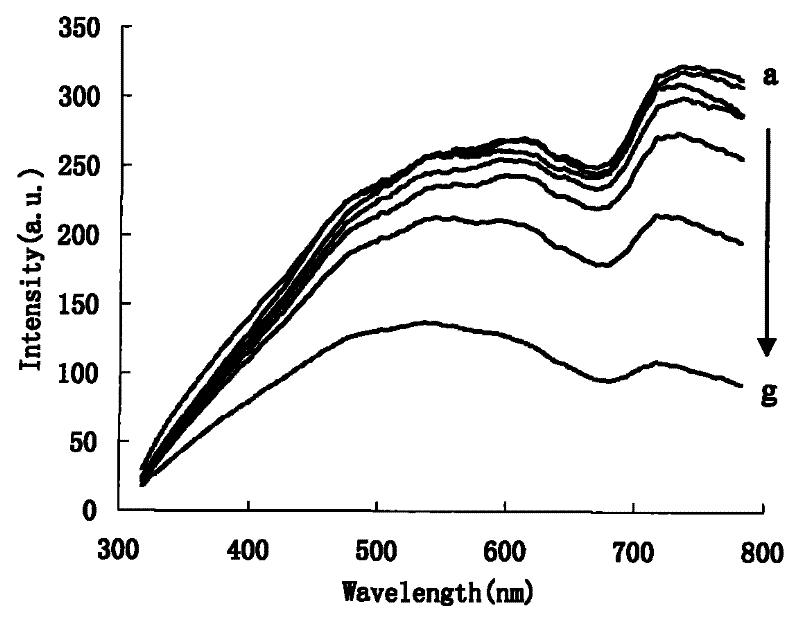 Method for measuring trace Hg2+ by using aptamer modified nano gold rhenium catalysis-tellurium particle resonance scattering spectrum