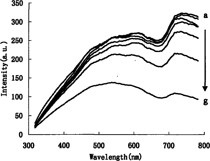 Method for measuring trace Hg2+ by using aptamer modified nano gold rhenium catalysis-tellurium particle resonance scattering spectrum