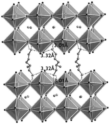 DJ type two-dimensional double-layer hybrid perovskite material, preparation method thereof and application of perovskite material