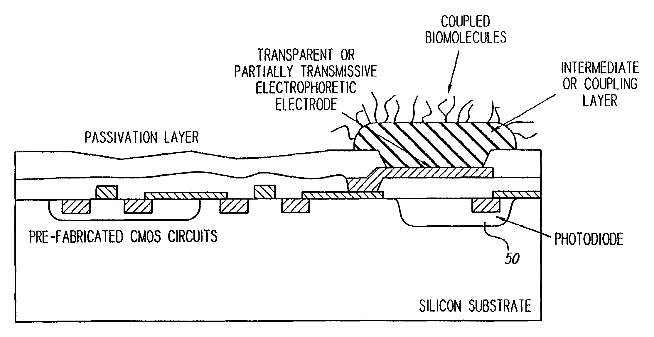 Biologic electrode array with integrated optical detector