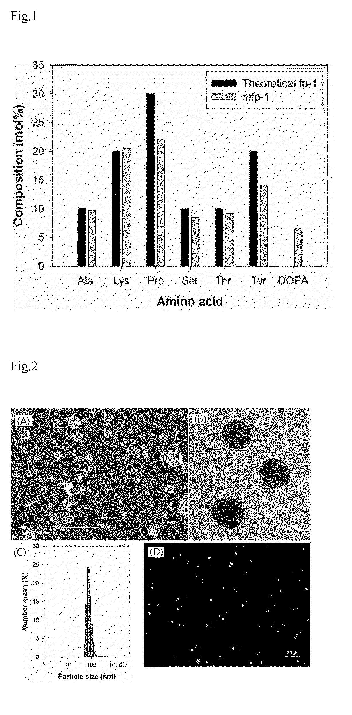 Ph-responsive nanoparticle using mussel adhesive protein for drug delivery and method for preparing the same