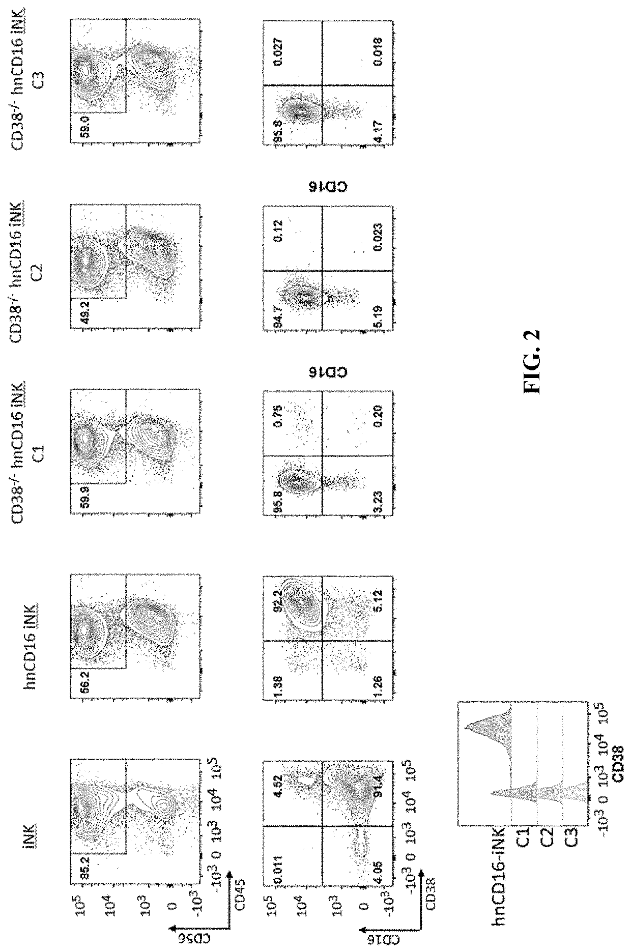 Enhanced immune effector cells and use thereof