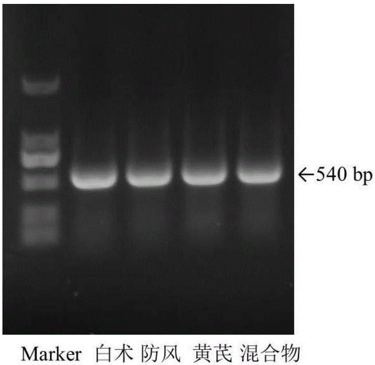 Method for identifying composition species of mixed traditional Chinese medicine powder by utilizing denaturing gradient gel electrophoresis (DGGE)