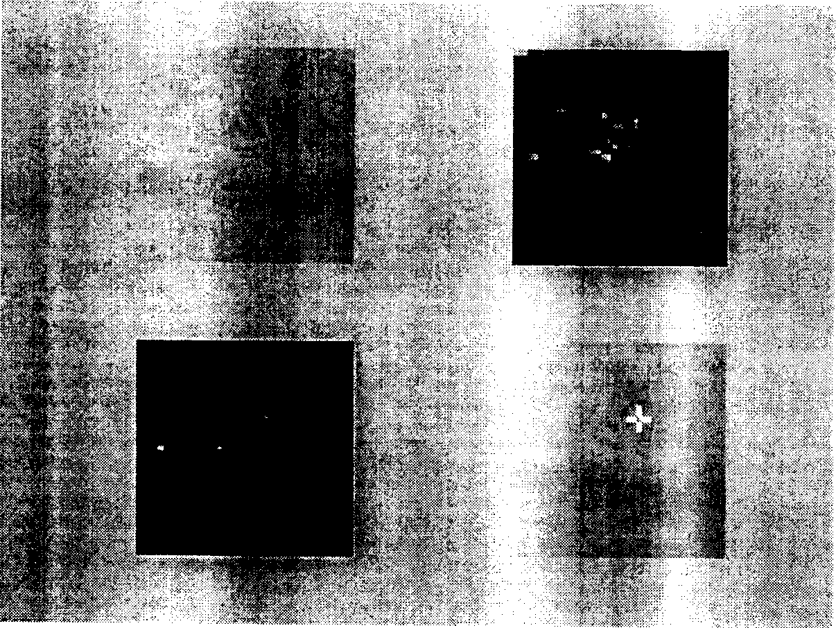 Infra red detecting and tracing method for weak target under complex background condition