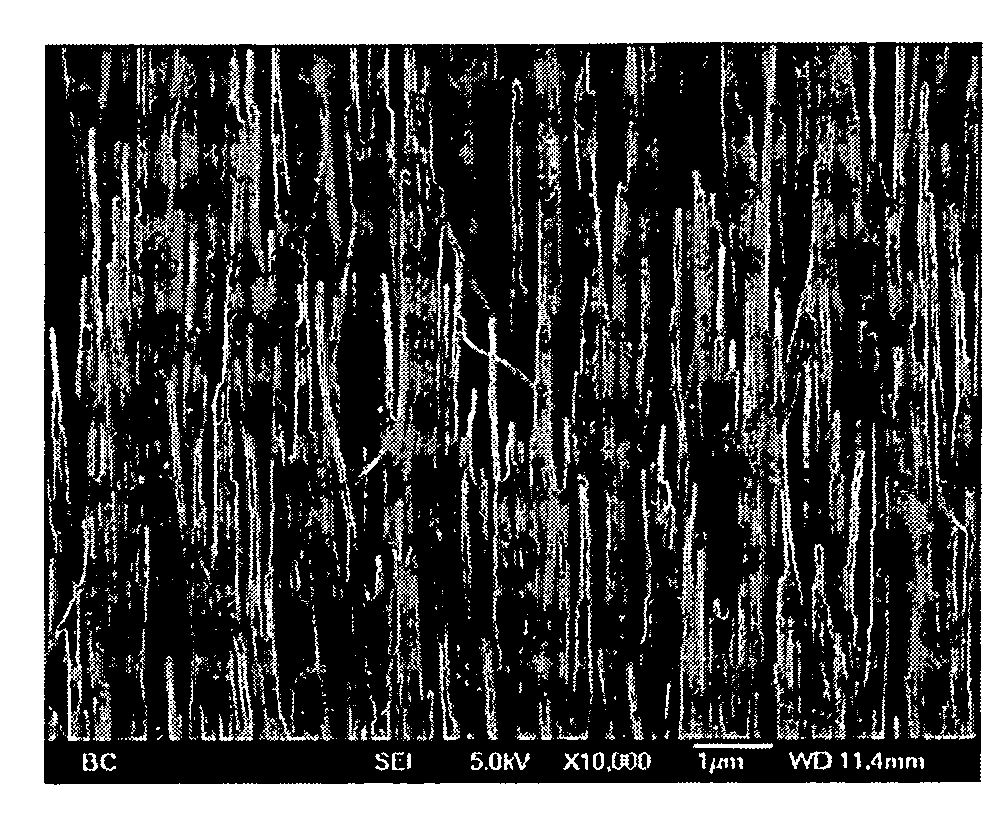 Coated carbon nanotube array electrodes