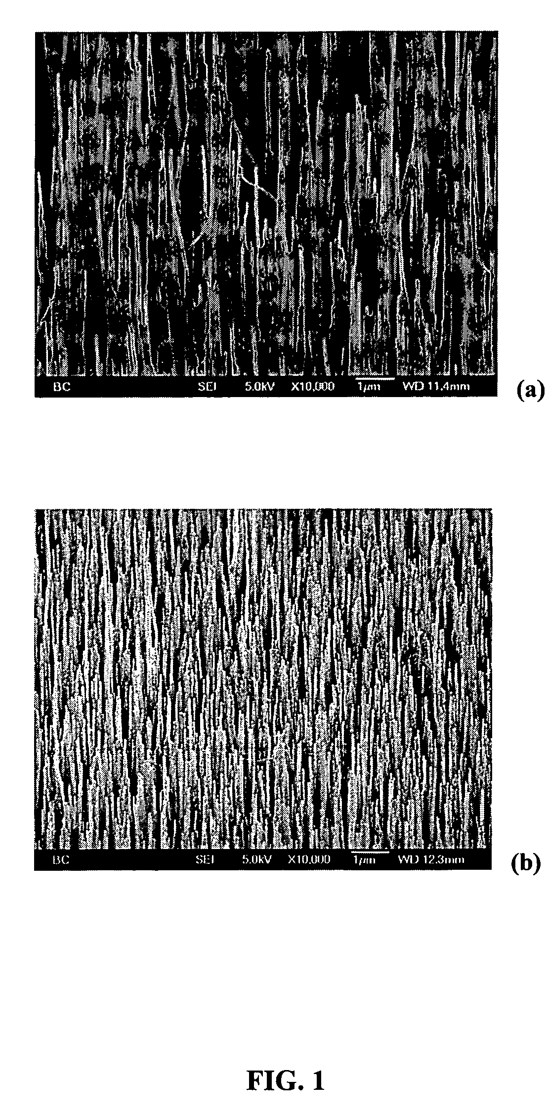 Coated carbon nanotube array electrodes