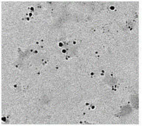 A kind of preparation method of polysaccharide-based silver nanoparticles