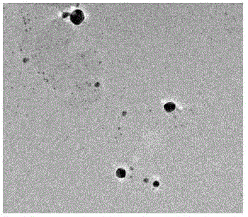 A kind of preparation method of polysaccharide-based silver nanoparticles