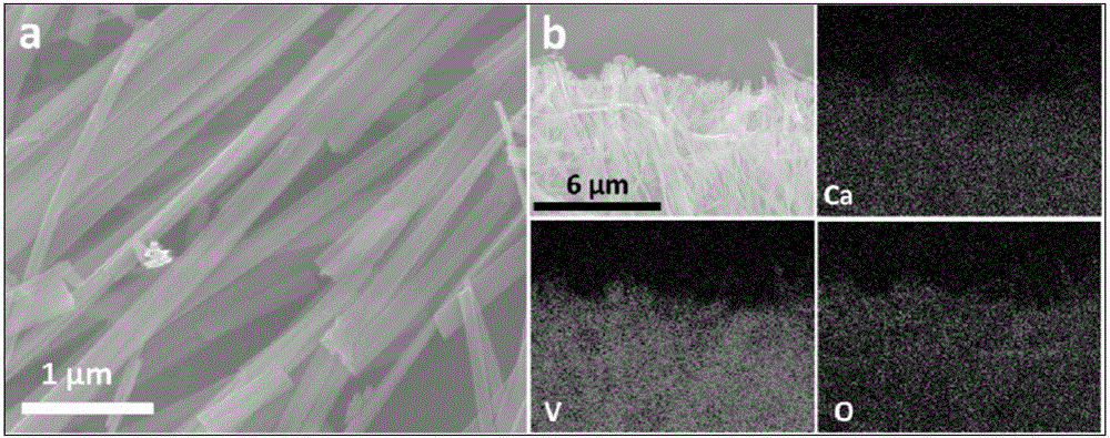 Calcium vanadate mesoporous nanowire and preparation method and application thereof
