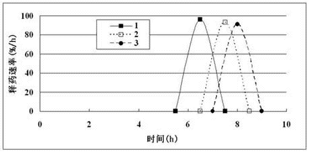 Ginkgol biloba extract delayed pulse capsule and quality control method thereof