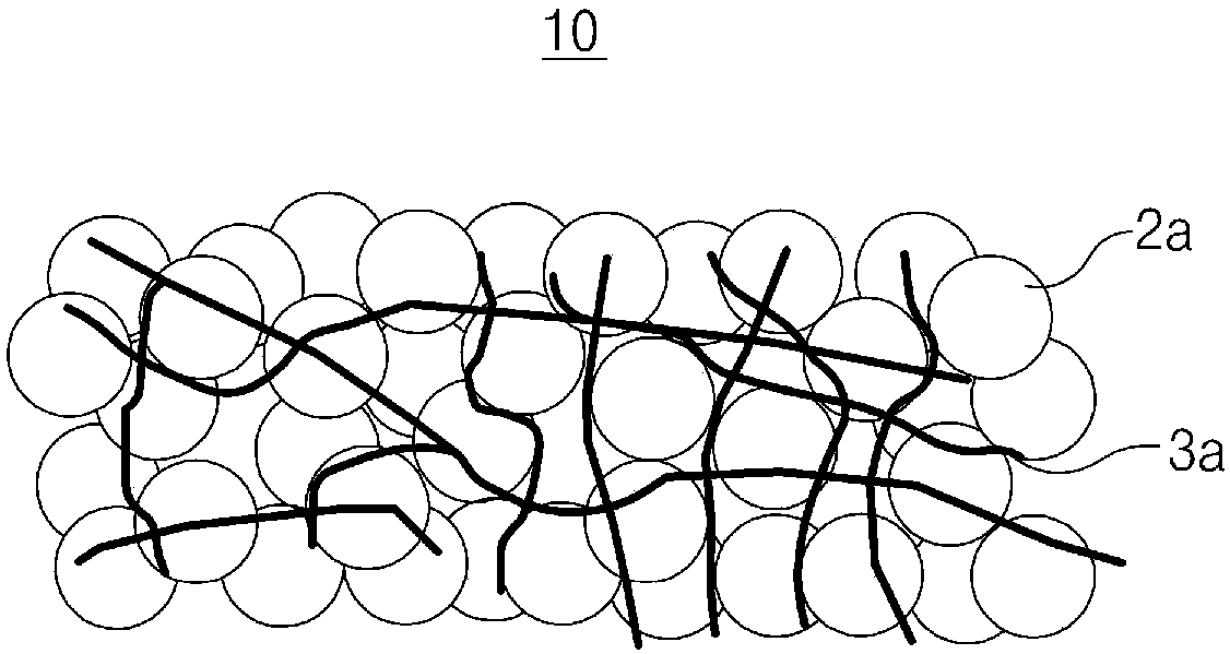 Cathode for secondary battery and secondary battery comprising same