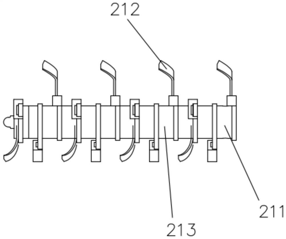 Continuous kneading and crushing device