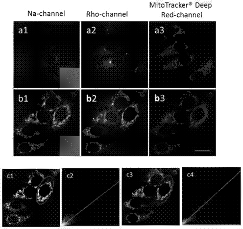 Mitochondria-targeted double-signal turn-on formaldehyde fluorescent nano-probe, and preparation and application of same