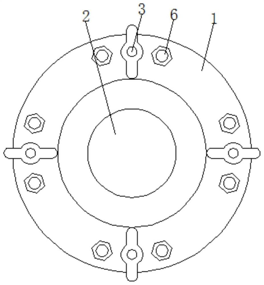 Ring flange convenient to install and capable of preventing excursion