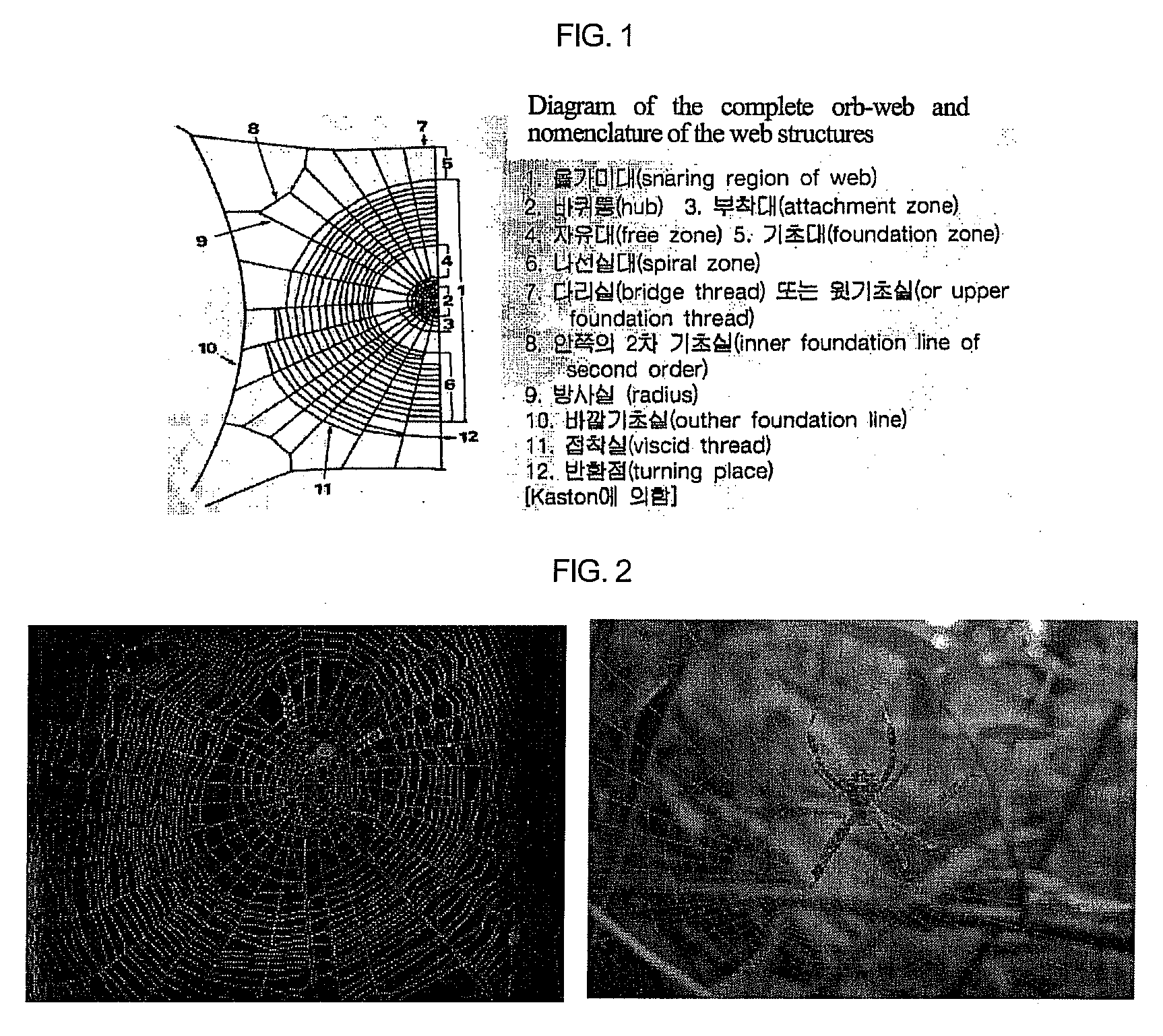 Method for modeling a structure of a spider web using computer programming