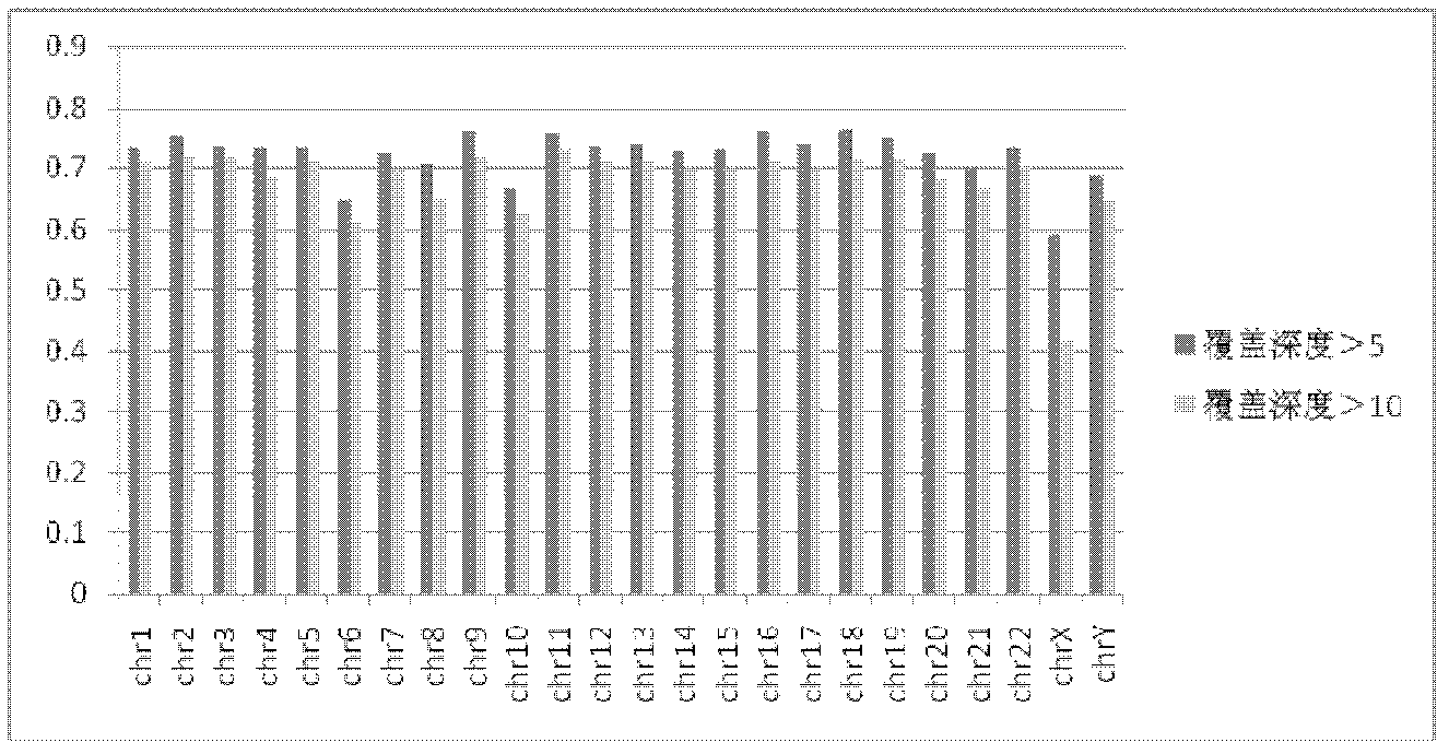 Method for establishing high-throughput sequencing library and application thereof