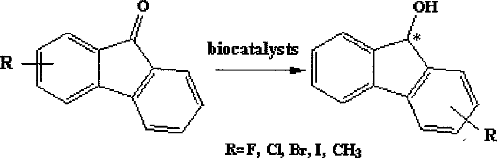 Streptomycete and application thereof in reduction of aromatic ketone